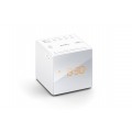 Sony ICFC1W