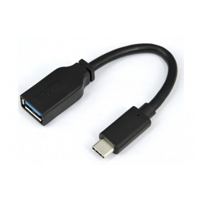 Itworks Adaptateur USBC (mâle) vers USB A (femelle) - 15 cm