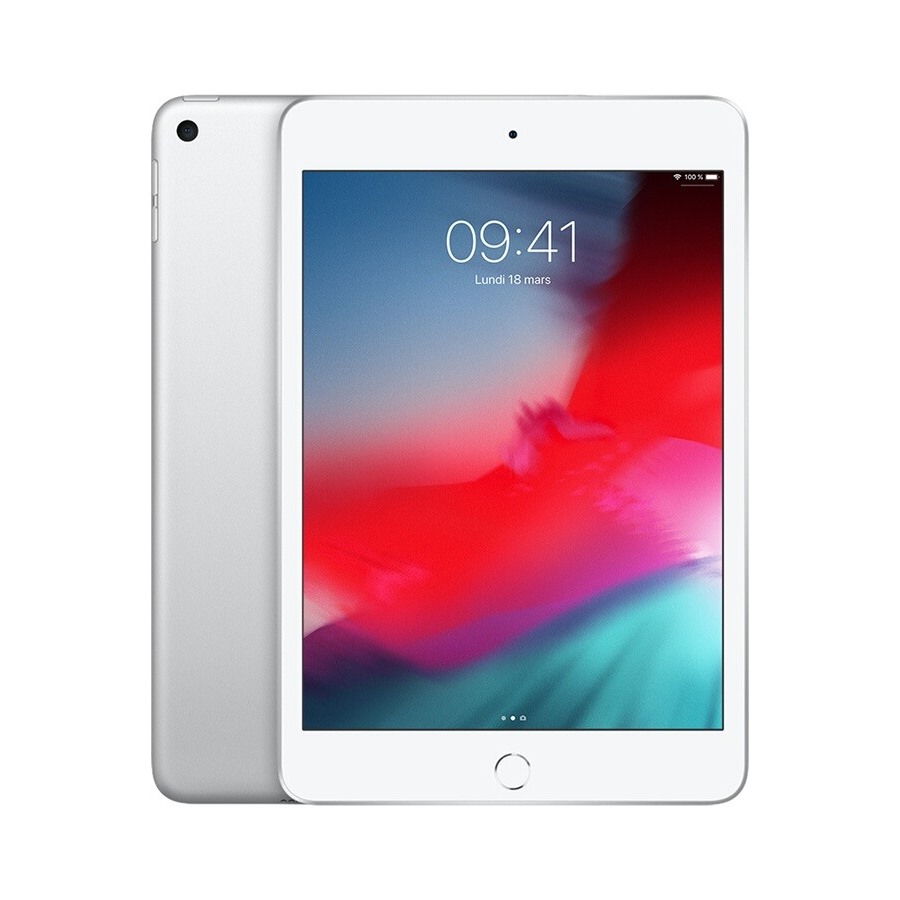 Apple NEW iPad mini 7,9 Wi-Fi 64Go - Argent n°1