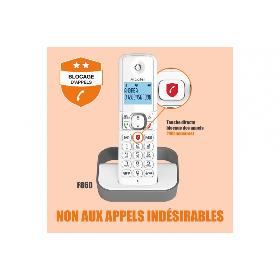 Alcatel Pack Duo F 860 Duo avec fonction blocage des appels publicitaires blanc gris n°5