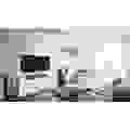Magnat. S14C Noyer