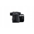 Panasonic Lumix FZ82D