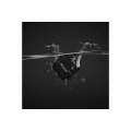 MARSHALL WILLEN II BLACK & BRASS