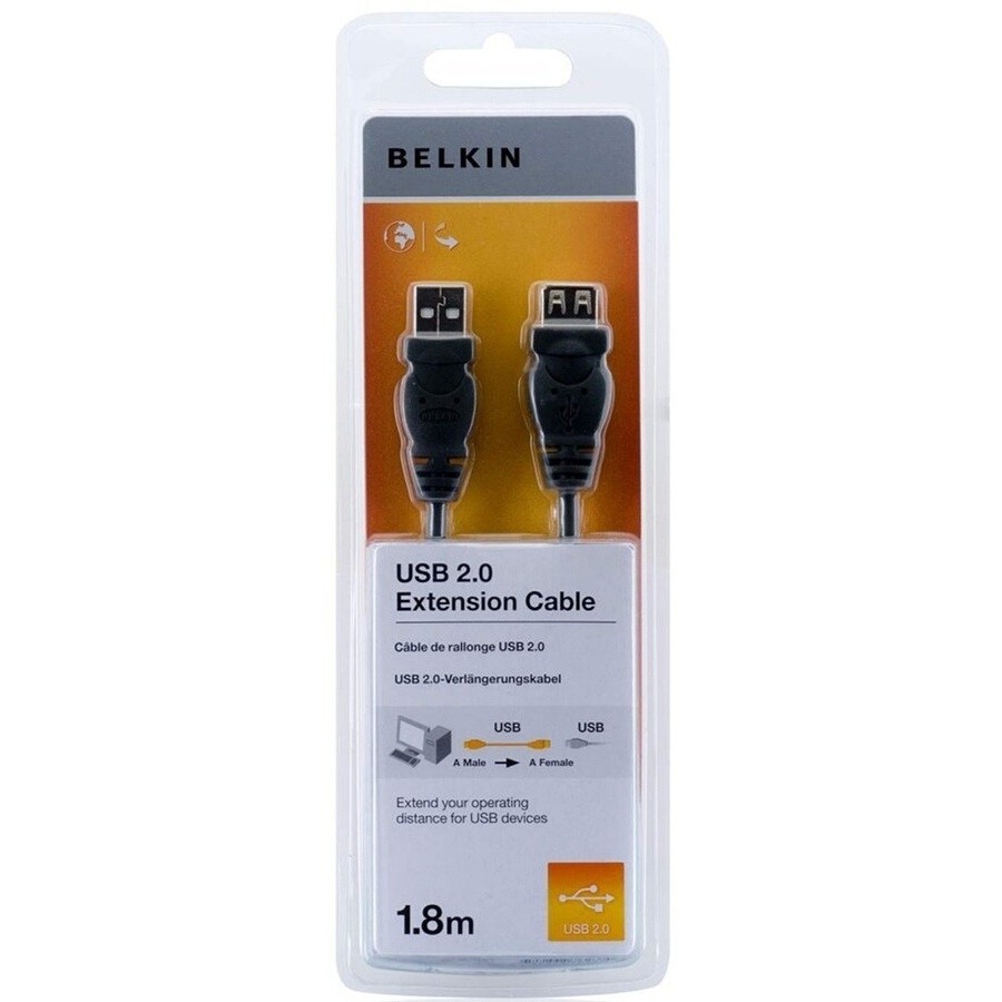 Belkin Rallonge USB Mâle A / Femelle A 1,8M n°2