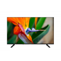 SURFTV SF50QVV240B