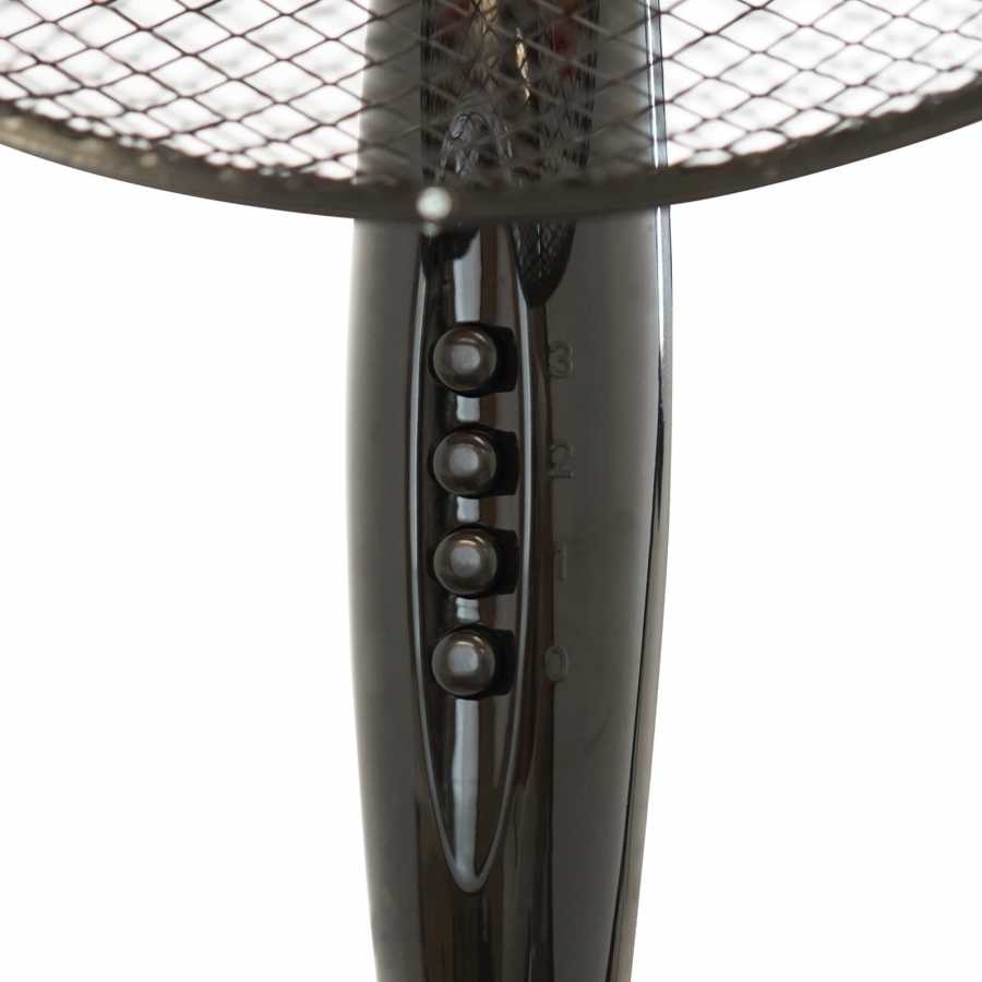 SURFLINE S40RMSF n°2