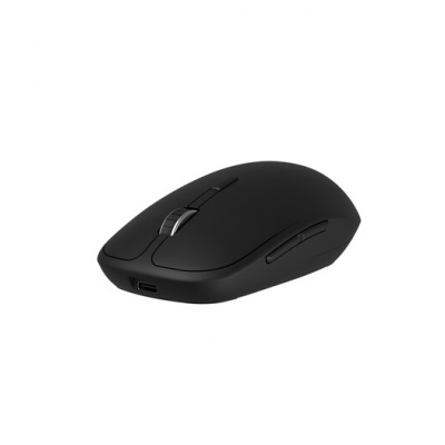 Accsup Souris rechargeable sans fils noire - 2.4G & Bluetooth