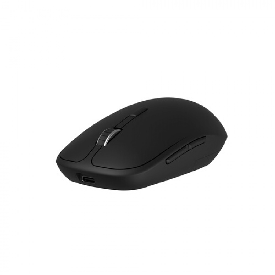 Accsup Souris rechargeable sans fils noire - 2.4G & Bluetooth n°1