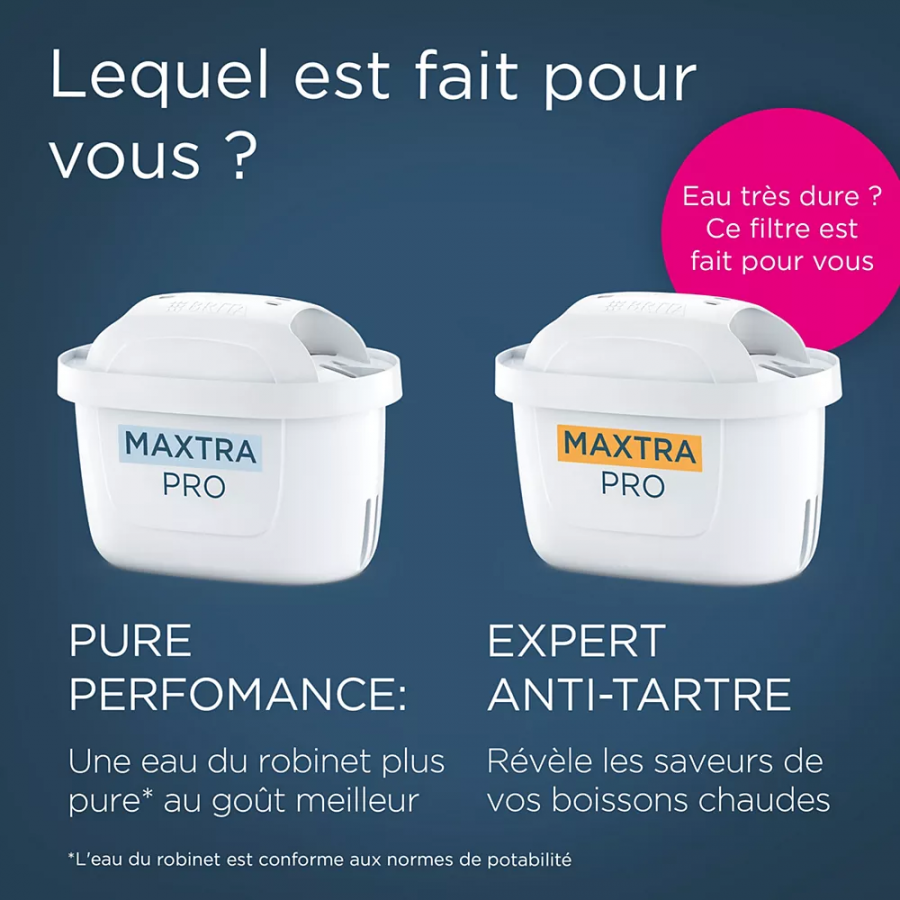 BRITA PACK DE 2 MAXTRA PRO EXPERT ANTI-TARTRE n°5