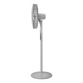 Proline SF40M