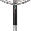 Proline SF40M