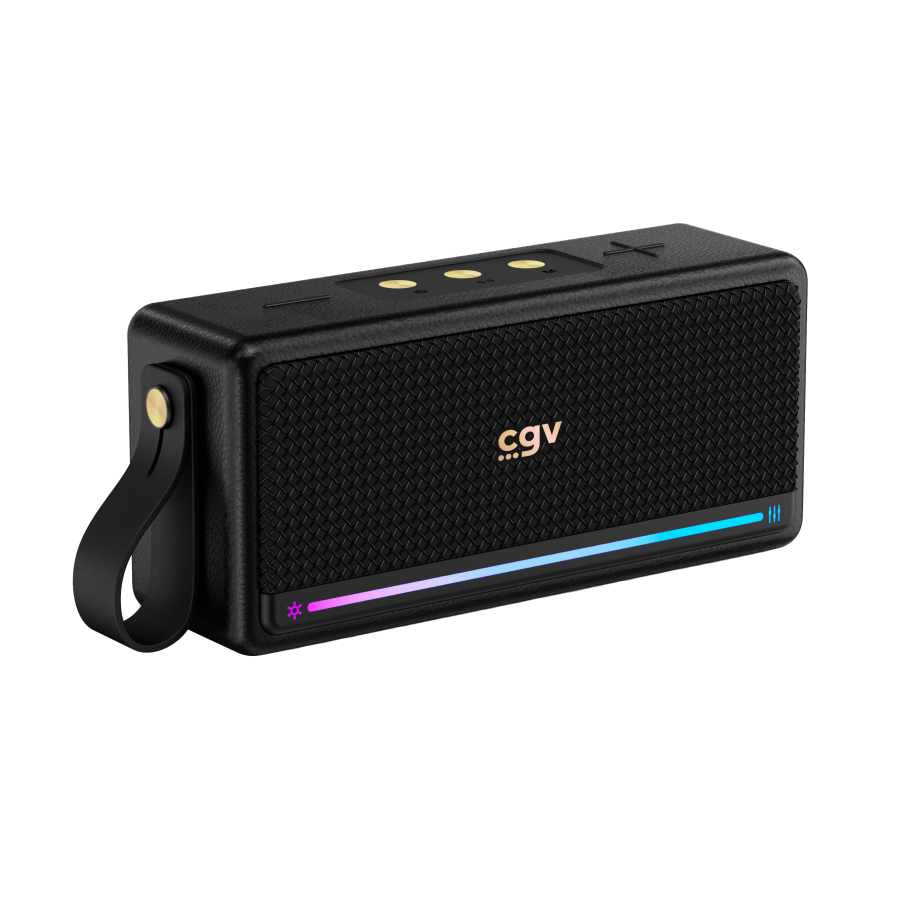 CGV SOLIDVIBE MAX n°3