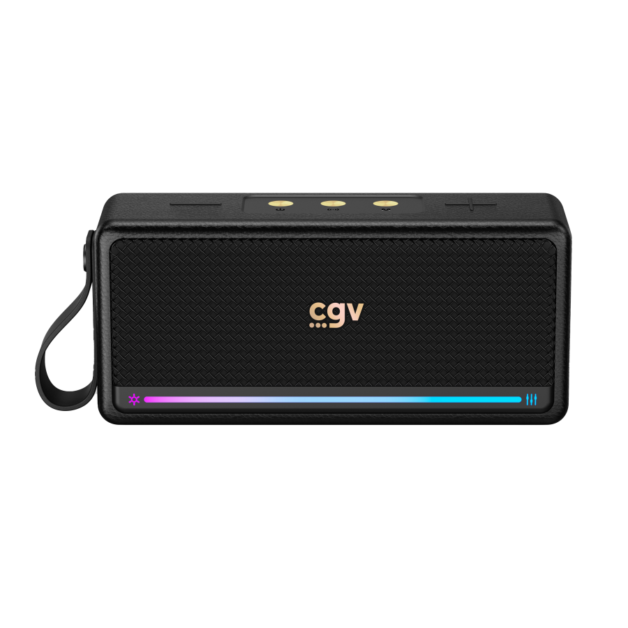 CGV SOLIDVIBE MAX n°2