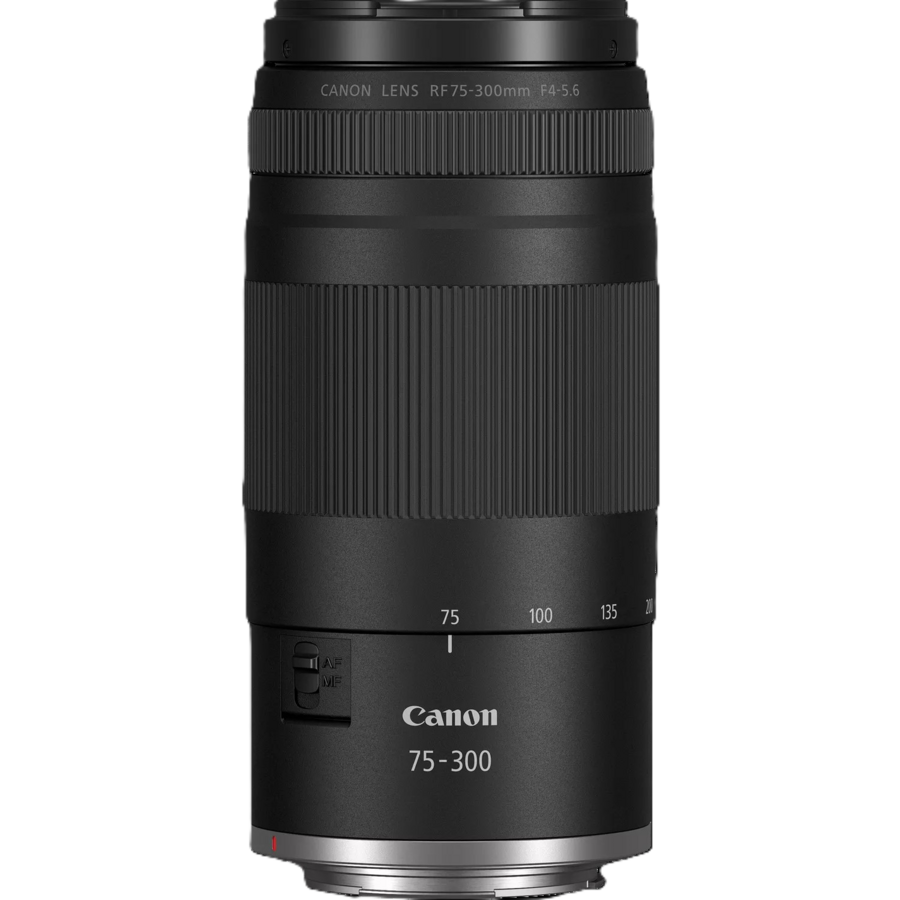 CANON EOS R100 + RF-S 18-45mm f/4.5-6.3 IS STM + SAC PHOTO + CARTE SD 64 go n°5