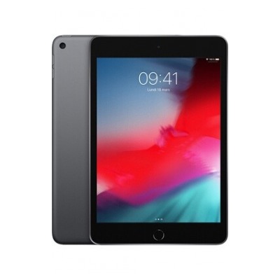 Apple NEW iPad mini 7,9 Wi-Fi 256Go - Gris Sidéral